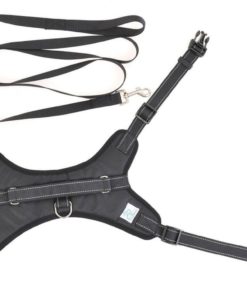 Our Legendary Dog Harness Across Usa - Leash Included - Mypetsamerica Reflect.. 13 182321268037 4