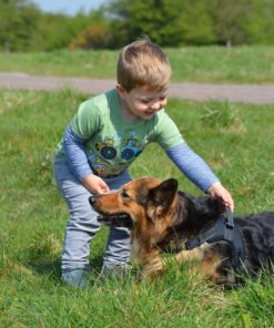 Our Legendary Dog Harness Across Usa - Leash Included - Mypetsamerica Reflect.. 16 182321268037 7