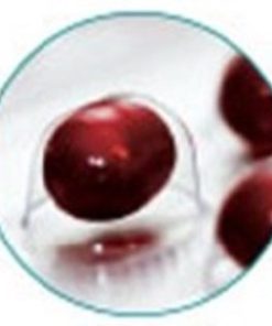 ALGALIFE Astaxanthin Icelandic 12mg, 30 Count 12mg 30 Count 15 31acdzyRtTL