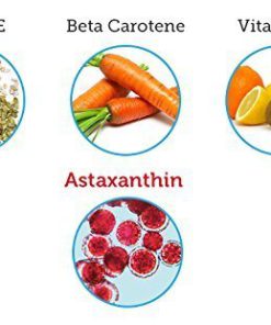 ALGALIFE Astaxanthin Icelandic 12mg, 30 Count 12mg 30 Count 13 413y06F7CGL