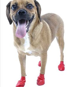 Alternative view of Pawz Water-Proof Dog Boot Red Small
