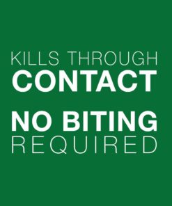 Bayer Advantage II Topical Flea Treatment for Small Dogs, 3-10 lbs 6 doses 3-10 lb 11 51 3xN46QL 4