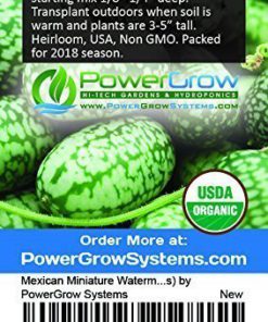 Alternative view of Mexican Miniature Watermelon Seeds ► Organic 'Cucamelon' Mini Sour Gherkin Seeds (15+ Seeds) ◄ by PowerGrow Systems