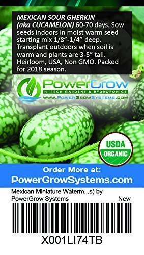 Mexican Miniature Watermelon Seeds ► Organic 'Cucamelon' Mini Sour Gherkin Seeds (15+ Seeds) ◄ by PowerGrow Systems - $6.95