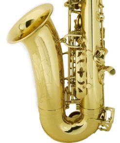 Mendini by Cecilio MAS-L+92D+PB Gold Lacquer E Flat Alto Saxophone with Tuner, Case, Mouthpiece, 10 Reeds and More - $268.00