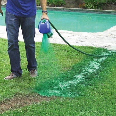 Hydro Mousse Liquid Lawn System - Grow Grass Where You Spray It - Made in USA - $29.95