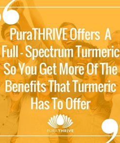 PuraTHRIVE Liquid Turmeric Extract. Premium Supplement made with Organic Turmeric, GMO Free, Made in USA. Best Absorption and Potency with Liposomal Turmeric 12 51TTpbEbl7L