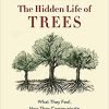 The Hidden Life of Trees: What They Feel, How They Communicate?Discoveries from A Secret World 58 51YZCIGnWDL. SX348 BO1204203200