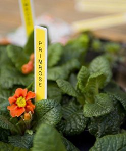 Brother P-touch, PTD210, Easy-to-Use Label Maker, One-Touch Keys, Multiple Font Styles, 27 User-Friendly Templates, White Labeler 9 51ZnRhG6lsL