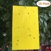 Trapro Yellow Dual-Sided Sticky Fly Traps for Plant Insect Like Aphids, Fungus Gnats, Leaf Miners and White Flies (10 Traps) 10 Pack