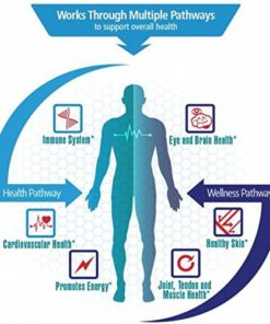 ALGALIFE Astaxanthin Icelandic 12mg, 30 Count 12mg 30 Count 12 51axmd1 riL