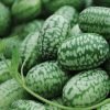 Mexican Miniature Watermelon Seeds ► Organic 'Cucamelon' Mini Sour Gherkin Seeds (15+ Seeds) ◄ by PowerGrow Systems