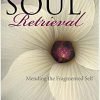 Soul Retrieval: Mending the Fragmented Self