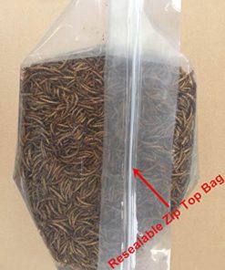 Alternative view of Hatortempt 5 lbs Dried Mealworms for Wild Bird Chicken Fish