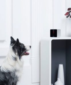 Petcube Interactive Wi-Fi Pet Camera 17 57 01bb7dff b992 4c04 9ff2 40a93a5e3ae9