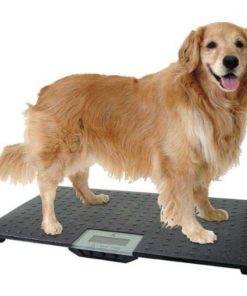 Alternative view of W.C Redmon Precision Digital Pet Scales Large