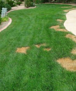 57 025c3e3e 0cd7 43e5 a973 7e8d94f4cce7