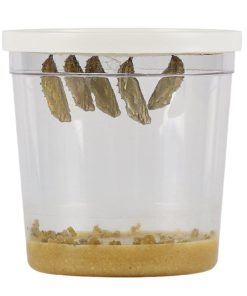 57 056108f4 535c 4fba 8216 e6df7333dd9a