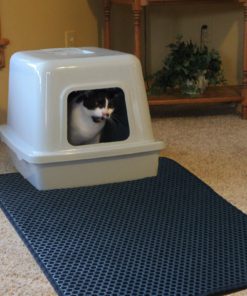 57 0680ebac 7bb5 4e69 9450 3c7469608c8c