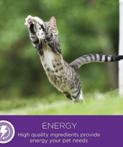 57 0a775345 e208 4a86 a800 9fad113619d5