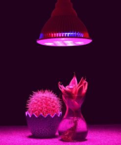 57 0aa9a6a2 23f7 422c a74f d01753c57c70