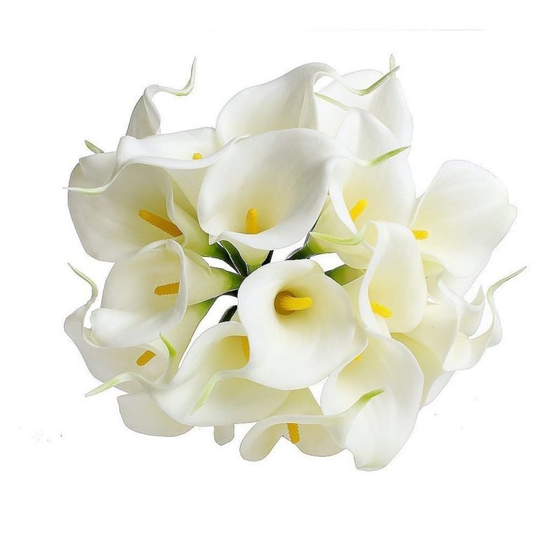 Cozyswan 20Pcs Calla Lily Bridal Wedding Bouquet Head Latex Real Touch Flower..