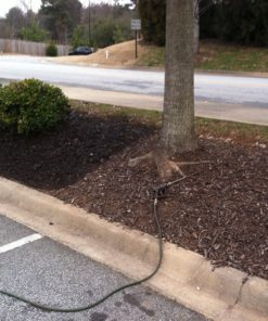 57 106eacbb dbf9 4035 b5b6 51f53a965099