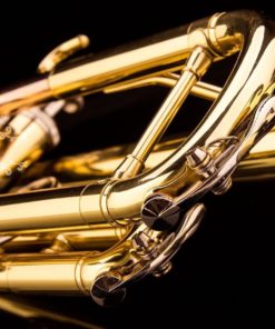 57 126f9b38 d93a 486c a265 dc9b74a70805