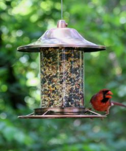 Perky-Pet Copper Panorama Bird Feeder 312C 8L X 8W Ins. Perky-Pet 12 57 13e55b87 ce68 404e b48c c13421df68ca
