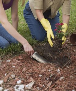 57 15abc642 b6c9 4c89 9634 f55aa464f4fb