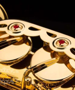 Glory Professional Alto Eb Sax Saxophone Gold Laquer Finish Alto Saxophone Wi.. 14 57 1694e5e3 8b00 4d1f 8caa ab9b392f7cab