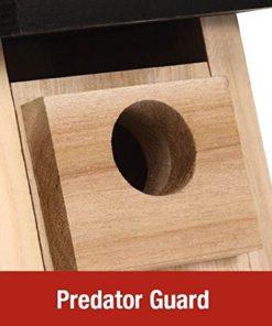 Nature's Way Bird Products Cwh3 Cedar Bluebird Box House 13 57 17f0d74d e872 4beb ab6c 1a0d11b6114d