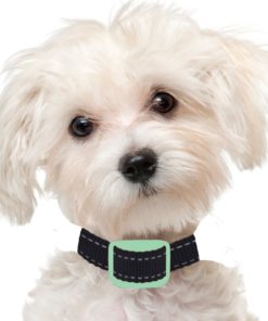 Our K9 Mint Bark Collar. Toy & Small Dogs Only. Sound And Vibration Pain Free.. 12 57 19484d80 d6f2 4bfb 85da f5bf456d3ada