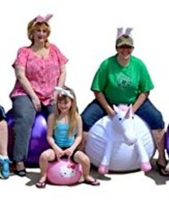 Waliki Toys Purple Adult Size Hopper Hoppity Hippity Ball 16 57 1b59b3a8 21d9 434a ae8a 7e0b8775f600