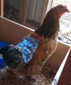 57 1c6ddfd5 074f 42d3 9ba1 eaaf4aa1dcdb