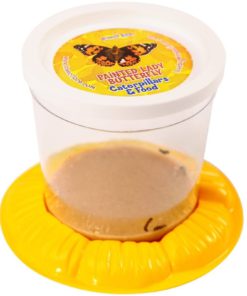 57 1cbf3967 65f2 4952 b82e 16c191eeedf5