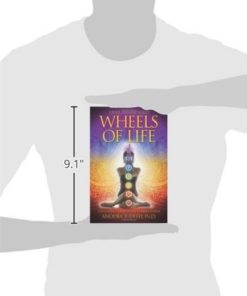 Alternative view of Wheels Of Life: A User's Guide To The Chakra System (Llewellyn's New Age Seri..