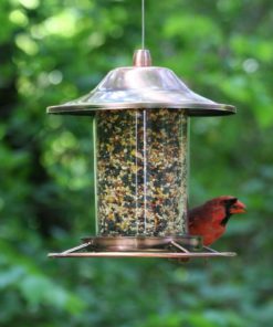 Perky-Pet Copper Panorama Bird Feeder 312C 8L X 8W Ins. Perky-Pet 8 57 2092110f 1df9 447a a14c 99930bbbfa53