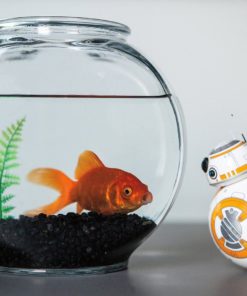 57 229907fb ff4c 455e acbd ac82eee7e719