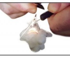 Guardian Accessories Wilderness Paracord Survival Bracelet 17 Pc Kit 10 57 26aa6838 846f 47d4 97dd df1b6f9e18e2