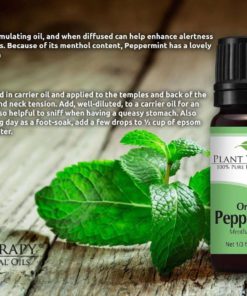 57 27814214 55be 4a1c b6ef 58e37ccc455f