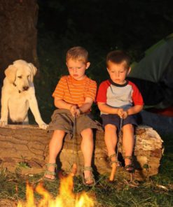 57 27ea61f5 a0d2 4664 8785 5bab698880b5