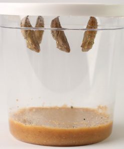 57 28a4525e 7c4f 4df3 a379 4f92570f55e5