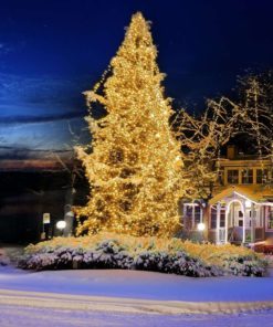 Taotronics Dimmable Outdoor String Lights 66Ft Copper Wire Light Complete Wat.. 15 57 2af58854 4b08 44ca baf2 fe864200f7b2