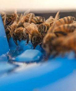 57 2b6cf666 b407 42e7 aa64 a30eae47d305