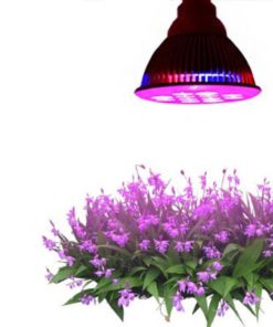 57 2bb58a47 6b17 41e2 9615 94d996fad27c