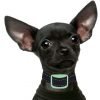 Our K9 Mint Bark Collar. Toy & Small Dogs Only. Sound And Vibration Pain Free.. 5 57 2d453ded b308 4030 b651 89439ef1ac1c