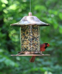 Perky-Pet Copper Panorama Bird Feeder 312C 8L X 8W Ins. Perky-Pet 10 57 2d7411e3 e43f 49ee 83cb c074edcda64c