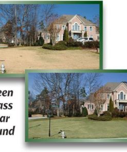 1000 Sq. Ft. 4Evergreen Grass And Turf Paint 5 57 2dd2a809 6da4 415d 97dd b9c991b725cf