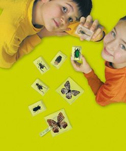 57 319907c0 3736 4be7 959d 2a6b10529425